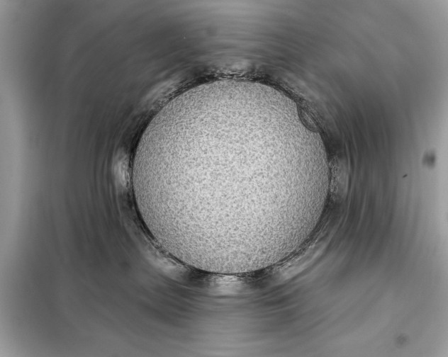 X0000098170287200805081008