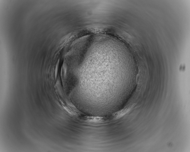 X0000098170288200805081008