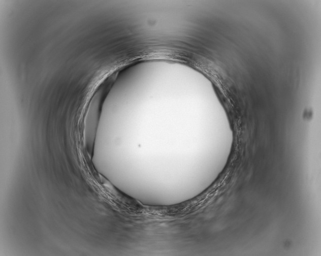 X0000098170289200805081007