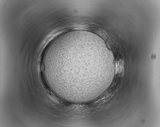 X0000098170291200805081007