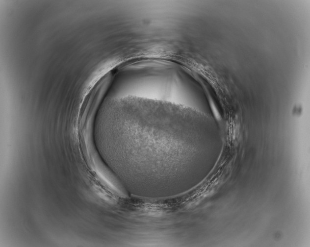 X0000098170292200805081007