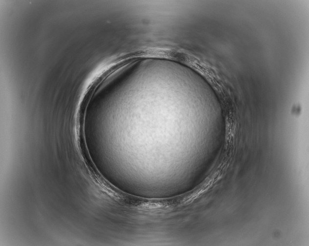 X0000098170294200805081007