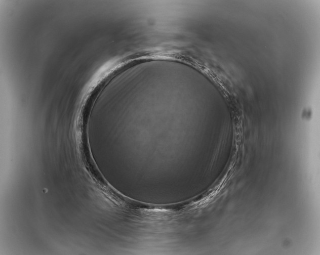 X0000098170295200805081007