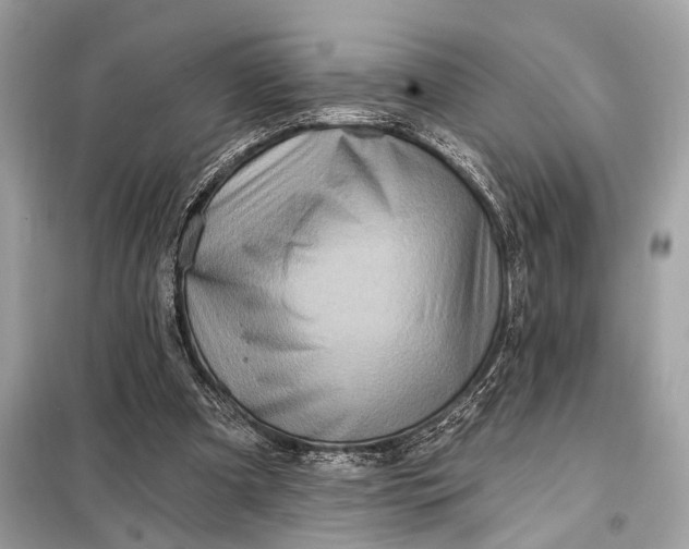 X0000098170297200805081007