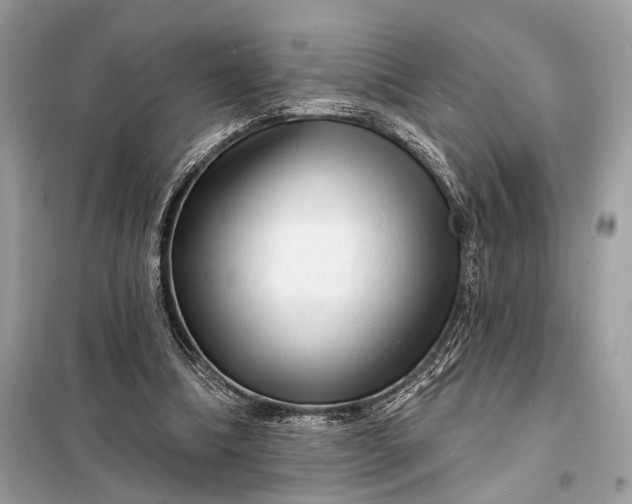 X0000098170298200805081007