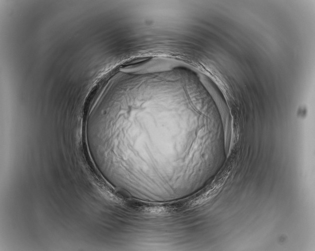 X0000098170301200805081007