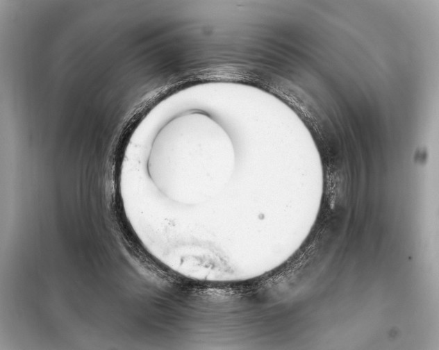 X0000098170302200805081007