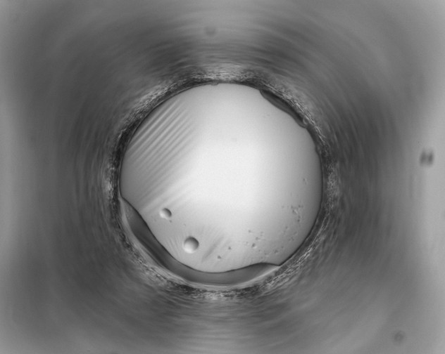 X0000098170305200805081007