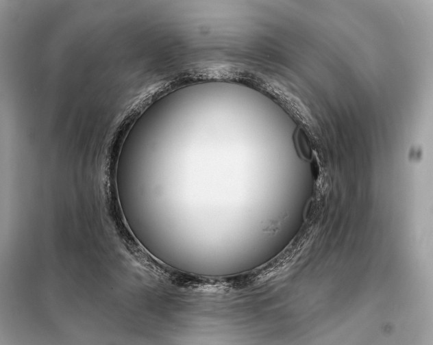 X0000098170306200805081007