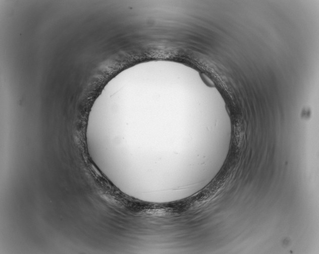 X0000098170307200805081007