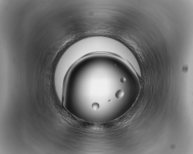 X0000098170308200805081007