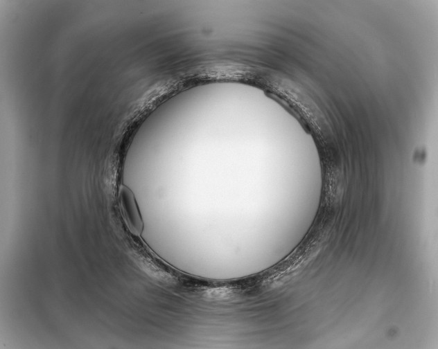 X0000098170309200805081007