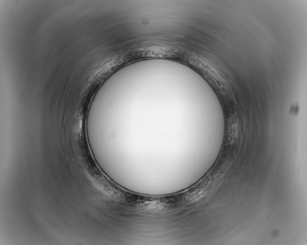 X0000098170310200805081007