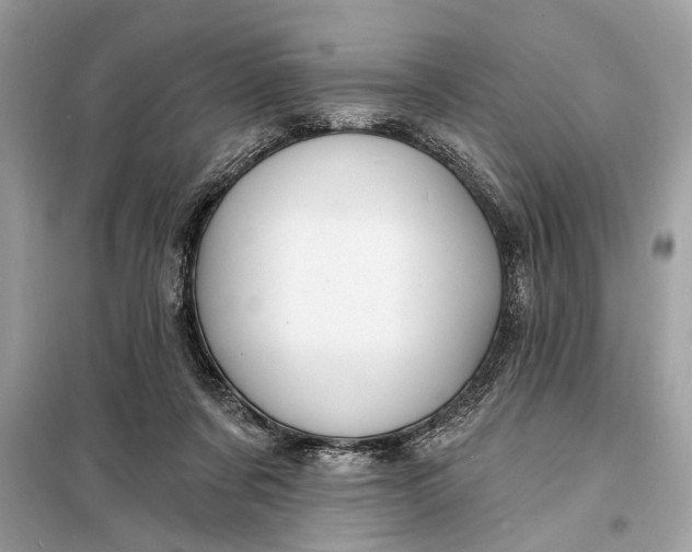 X0000098170311200805081007