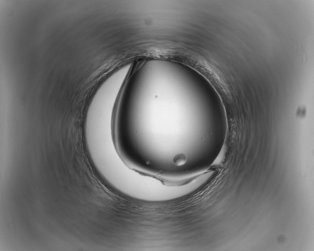 X0000098170313200805081007