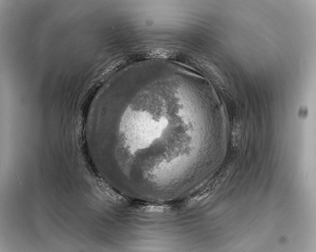 X0000098170314200805081007