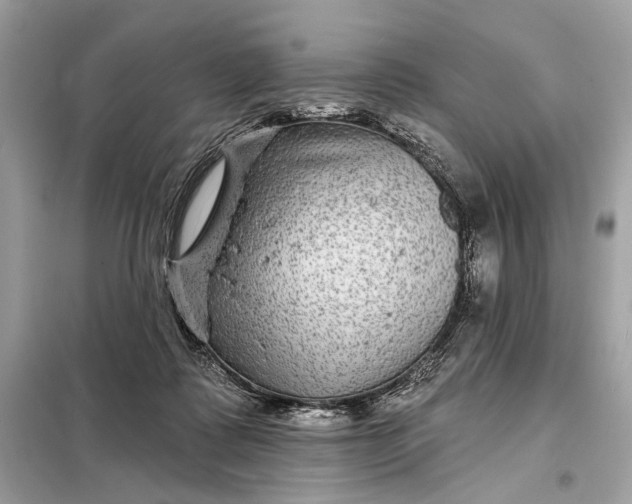 X0000098170315200805081007