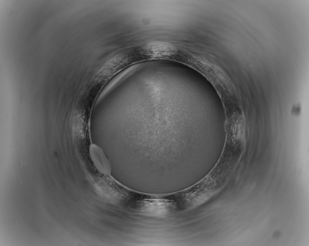 X0000098170316200805081007