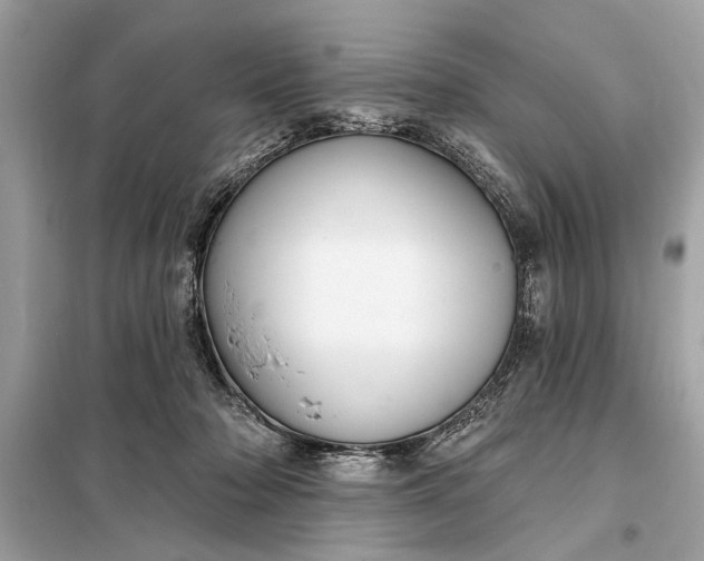 X0000098170318200805081007