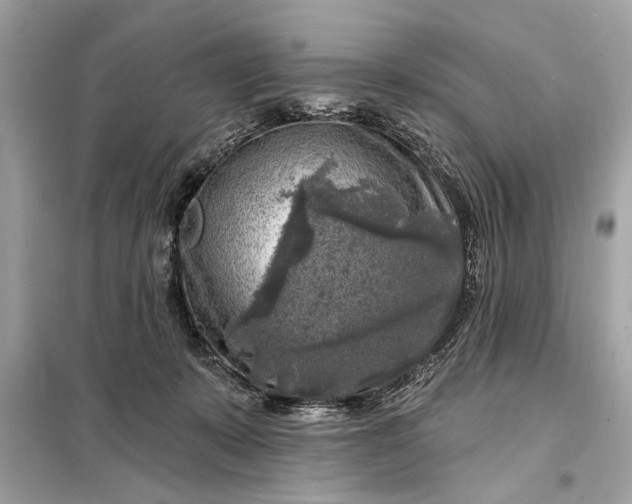 X0000098170319200805081007