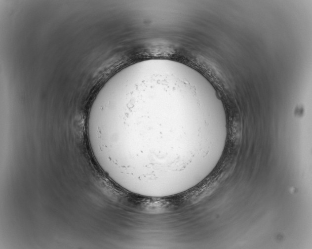 X0000098170321200805081007