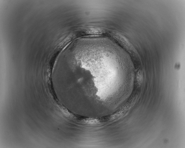 X0000098170322200805081007