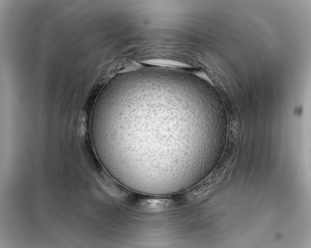 X0000098170323200805081007