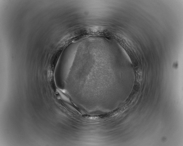 X0000098170324200805081007