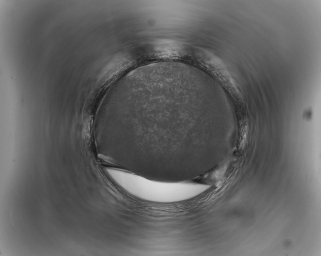 X0000098170325200805081007