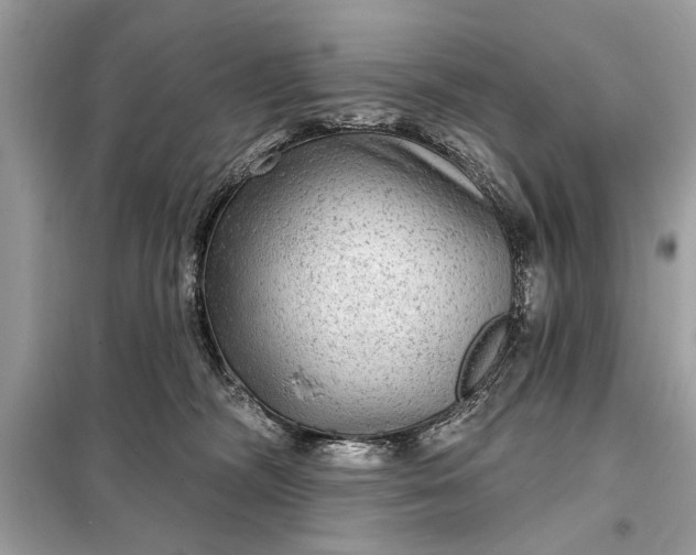 X0000098170326200805081007