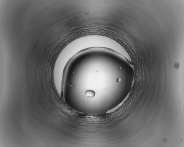 X0000098170328200805081007