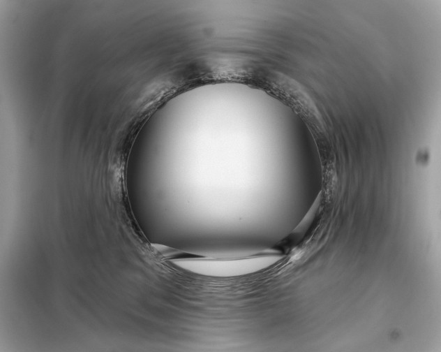 X0000098170329200805081007