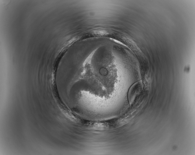 X0000098170330200805081007