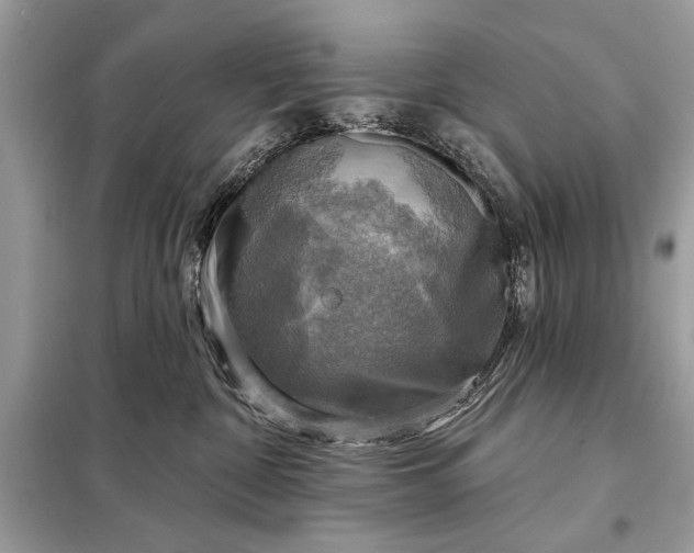 X0000098170332200805081007