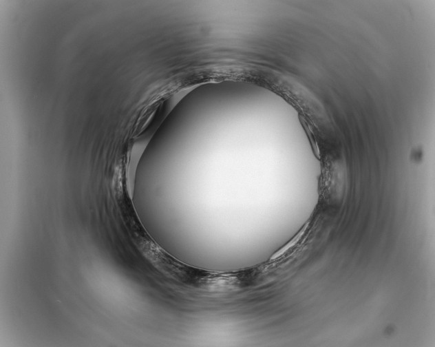 X0000098170333200805081007