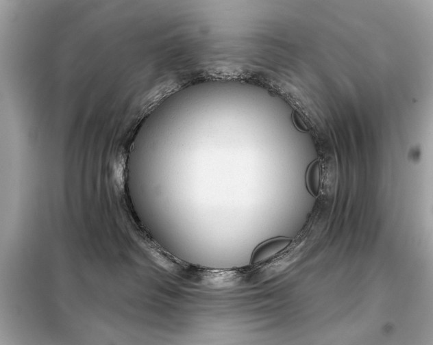 X0000098170334200805081007