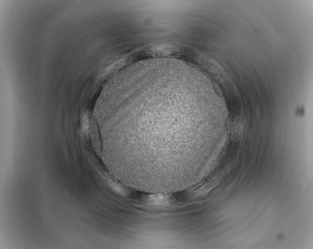 X0000098170335200805081007