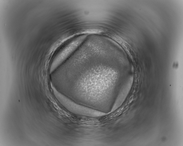 X0000098170337200805081006