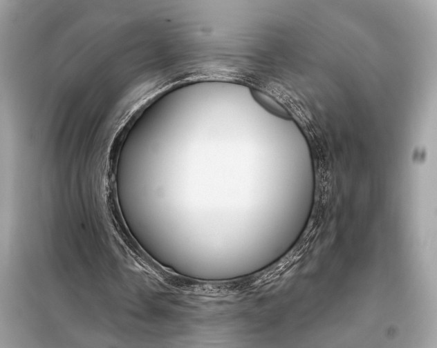 X0000098170338200805081006