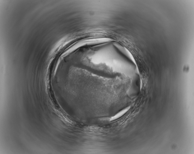 X0000098170339200805081006