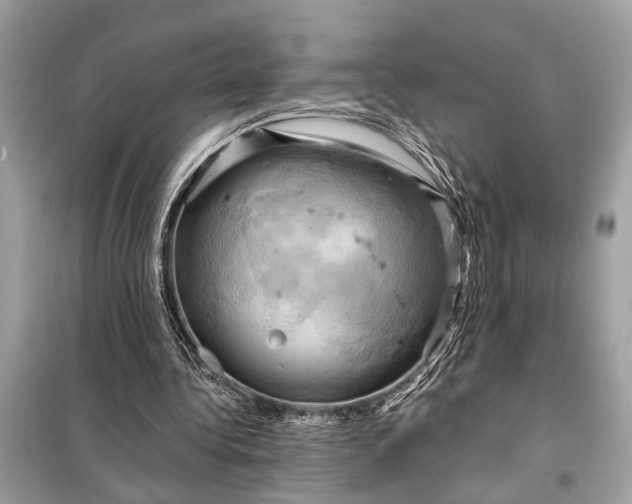 X0000098170340200805081006