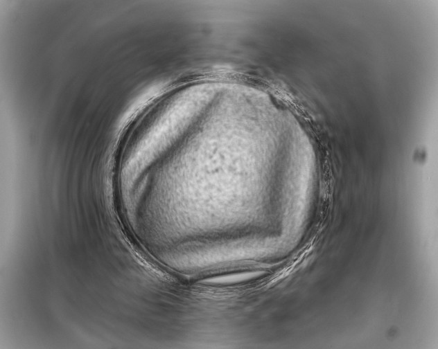 X0000098170341200805081006