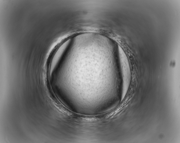 X0000098170342200805081006