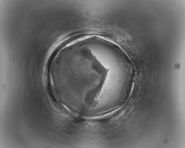 X0000098170343200805081006