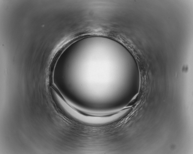 X0000098170344200805081006