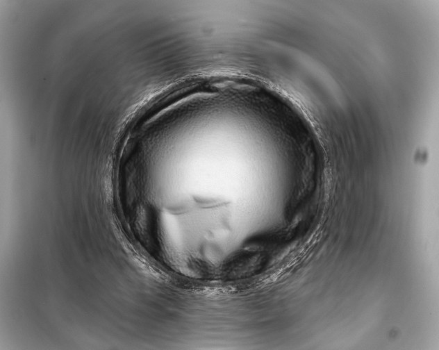 X0000098170345200805081006