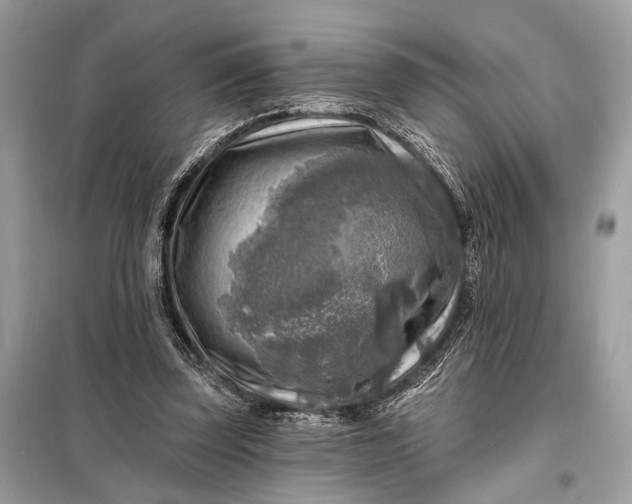 X0000098170347200805081006