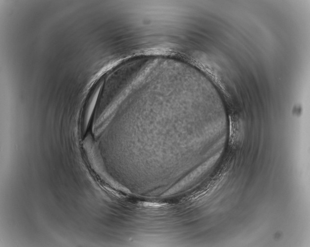 X0000098170348200805081006