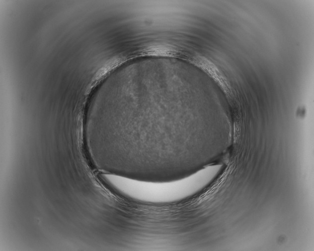 X0000098170349200805081006