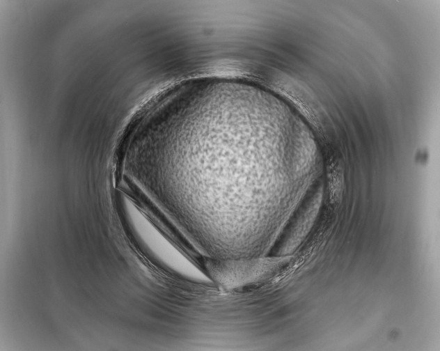 X0000098170350200805081006